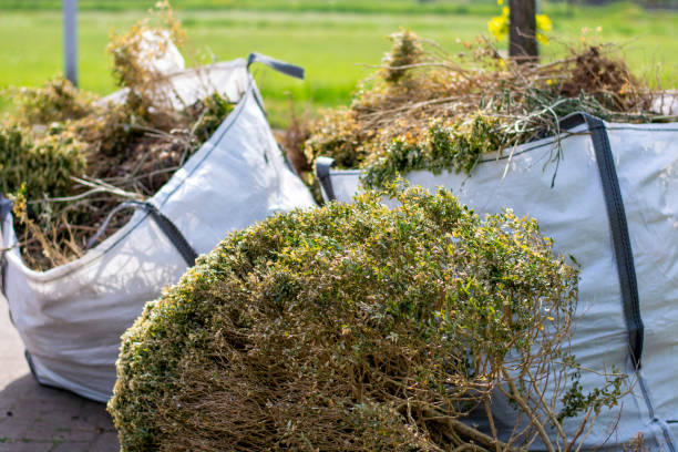 Best Moving and Downsizing Cleanouts  in Lonsdale, MN